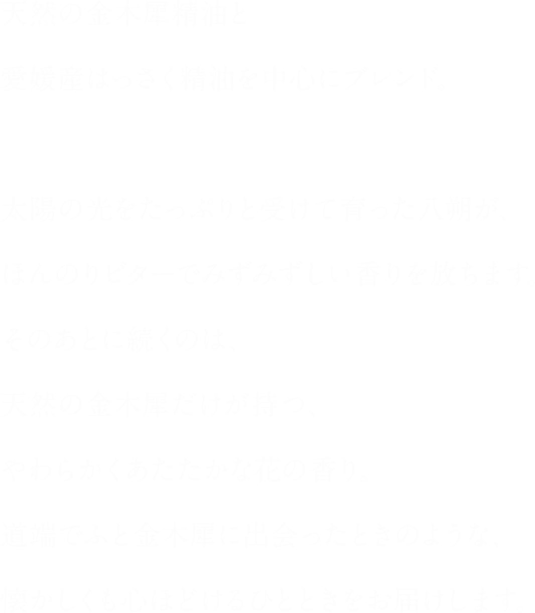 寺院を訪れたときのような心地よさを感じます