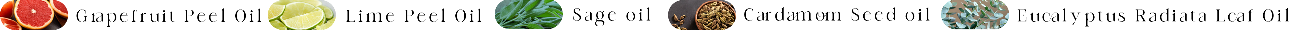 成分