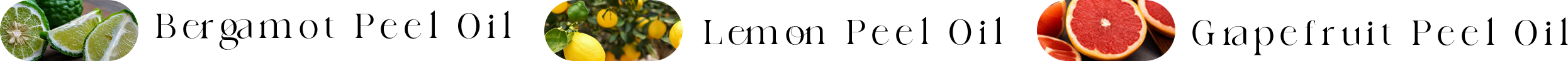 成分