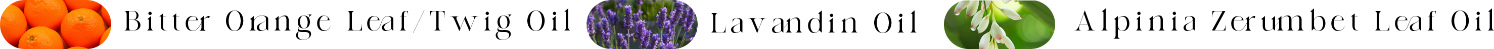 成分