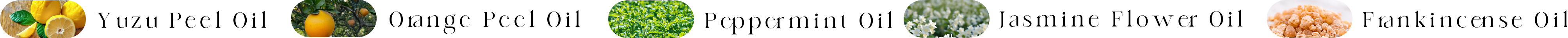 成分